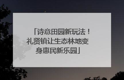 诗意田园新玩法！礼贤镇让生态林地变身惠民新乐园