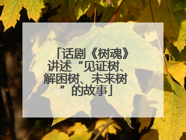 话剧《树魂》讲述“见证树、解困树、未来树”的故事