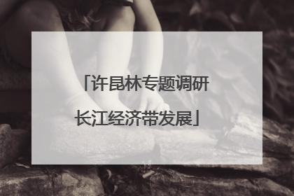 许昆林专题调研长江经济带发展