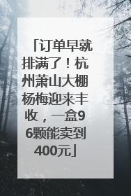 订单早就排满了！杭州萧山大棚杨梅迎来丰收，一盒96颗能卖到400元