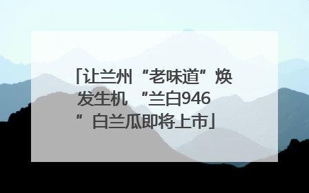 让兰州“老味道”焕发生机 “兰白946”白兰瓜即将上市