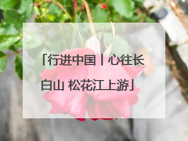 行进中国丨心往长白山 松花江上游