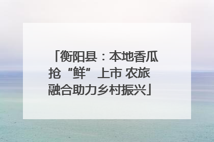 衡阳县：本地香瓜抢“鲜”上市 农旅融合助力乡村振兴