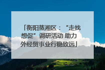 衡阳蒸湘区：“走找想促”调研活动 助力外经贸事业行稳致远