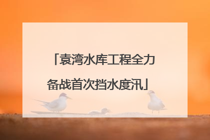袁湾水库工程全力备战首次挡水度汛