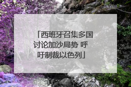 西班牙召集多国讨论加沙局势 呼吁制裁以色列