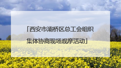 西安市灞桥区总工会组织集体协商现场观摩活动