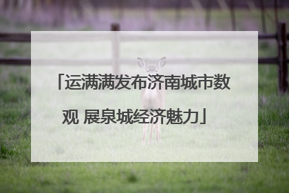 运满满发布济南城市数观 展泉城经济魅力