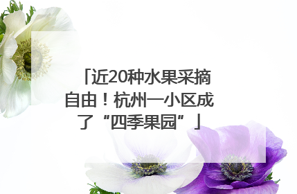 近20种水果采摘自由！杭州一小区成了“四季果园”