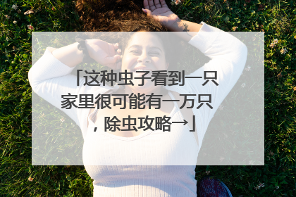 这种虫子看到一只家里很可能有一万只，除虫攻略→