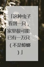 这种虫子看到一只，家里很可能已有一万只（不是蟑螂）