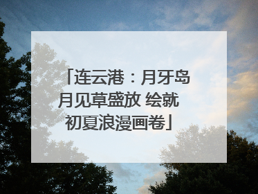 连云港：月牙岛月见草盛放 绘就初夏浪漫画卷