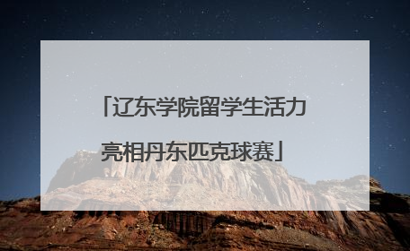 辽东学院留学生活力亮相丹东匹克球赛