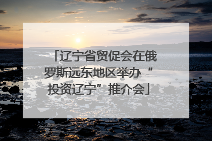 辽宁省贸促会在俄罗斯远东地区举办“投资辽宁”推介会