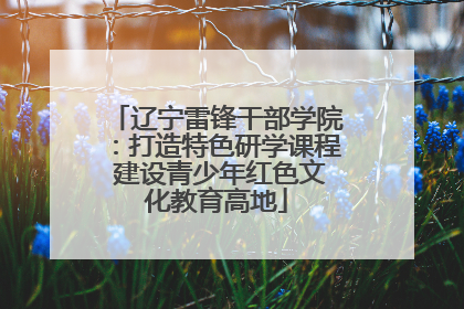 辽宁雷锋干部学院：打造特色研学课程 建设青少年红色文化教育高地