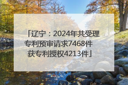 辽宁：2024年共受理专利预审请求7468件 获专利授权4213件