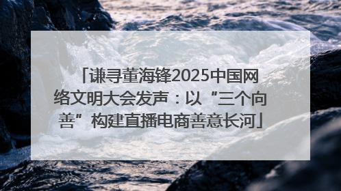 谦寻董海锋2025中国网络文明大会发声：以“三个向善”构建直播电商善意长河