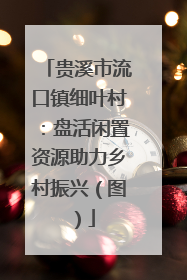 贵溪市流口镇细叶村：盘活闲置资源助力乡村振兴（图）
