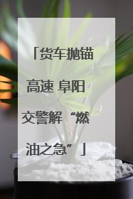货车抛锚高速 阜阳交警解“燃油之急”