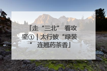 走“三北” 看攻坚①｜太行披“绿装” 连翘药茶香