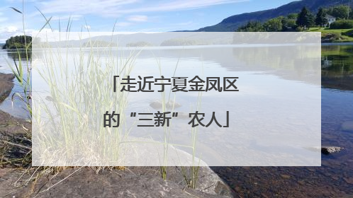 走近宁夏金凤区的“三新”农人