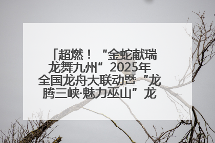 超燃！“金蛇献瑞 龙舞九州”2025年全国龙舟大联动暨“龙腾三峡·魅力巫山”龙舟邀请赛圆满落幕！