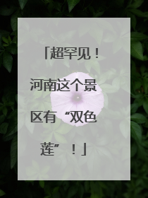 超罕见！河南这个景区有“双色莲”！