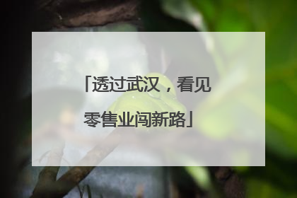 透过武汉，看见零售业闯新路