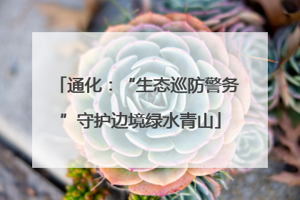 通化：“生态巡防警务”守护边境绿水青山