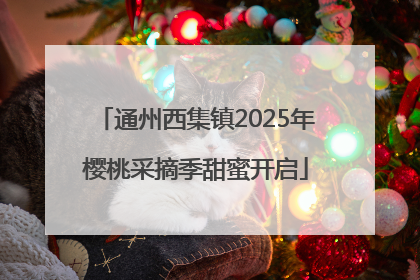 通州西集镇2025年樱桃采摘季甜蜜开启