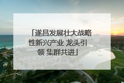 遂昌发展壮大战略性新兴产业 龙头引领 集群共进