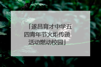 遂昌育才中学五四青年节火炬传递活动燃动校园