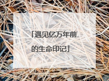 遇见亿万年前的生命印记