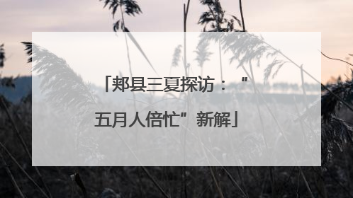 郏县三夏探访：“五月人倍忙”新解