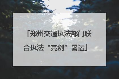 郑州交通执法部门联合执法“亮剑”暑运