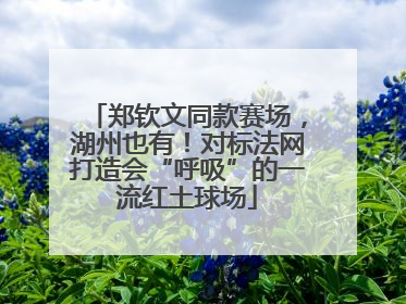 郑钦文同款赛场，湖州也有！对标法网打造会“呼吸”的一流红土球场