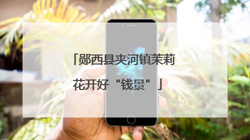 郧西县夹河镇茉莉花开好“钱景”