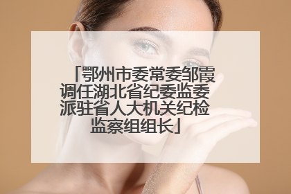 鄂州市委常委邹霞调任湖北省纪委监委派驻省人大机关纪检监察组组长