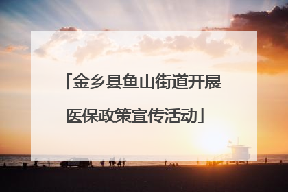 金乡县鱼山街道开展医保政策宣传活动