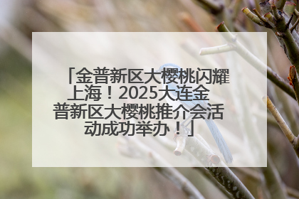 金普新区大樱桃闪耀上海！2025大连金普新区大樱桃推介会活动成功举办！