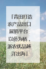 青田打造农产品出口展销平台 以侨为桥，浙农优品越洋出海