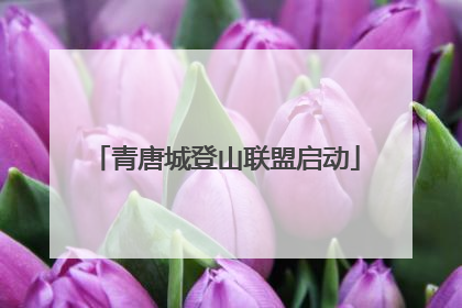 青唐城登山联盟启动