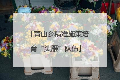 青山乡精准施策培育“头雁”队伍