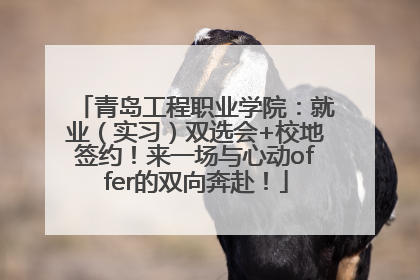 青岛工程职业学院：就业（实习）双选会+校地签约！来一场与心动offer的双向奔赴！