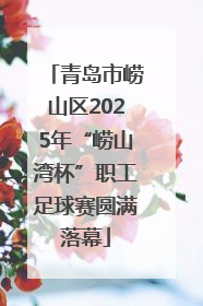 青岛市崂山区2025年“崂山湾杯”职工足球赛圆满落幕