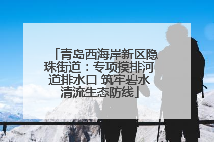 青岛西海岸新区隐珠街道：专项摸排河道排水口 筑牢碧水清流生态防线