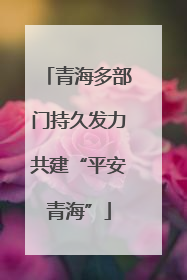 青海多部门持久发力共建“平安青海”