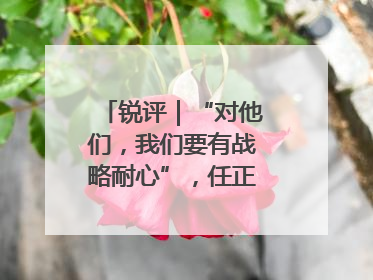 锐评｜“对他们，我们要有战略耐心”，任正非给谁提了醒