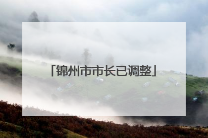 锦州市市长已调整