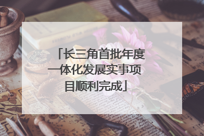 长三角首批年度一体化发展实事项目顺利完成